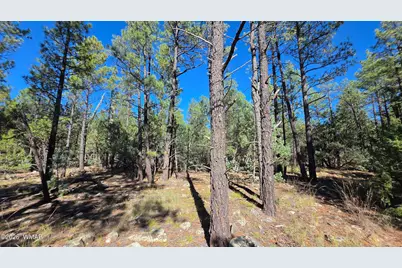 Tbd N Blue Grass Ranch Drive, Lakeside, AZ 85929 - Photo 11