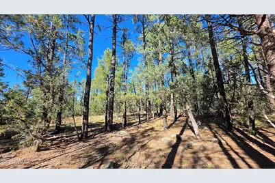 Tbd N Blue Grass Ranch Drive, Lakeside, AZ 85929 - Photo 3
