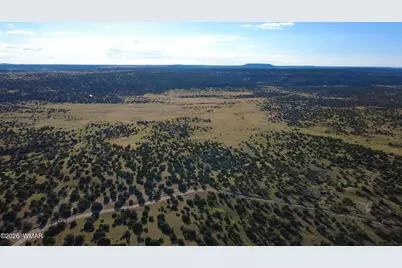 Tbd Lakeview Ranch, Concho, AZ 85924 - Photo 19