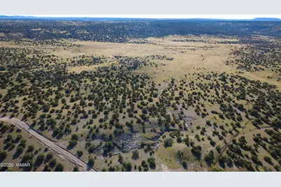 Tbd Lakeview Ranch, Concho, AZ 85924 - Photo 17