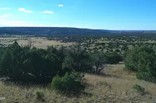 Tbd Lakeview Ranch, Concho, AZ 85924 - Photo 1