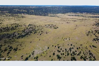Tbd Lakeview Ranch, Concho, AZ 85924 - Photo 15