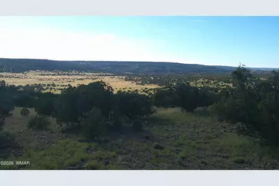Tbd Lakeview Ranch, Concho, AZ 85924 - Photo 31
