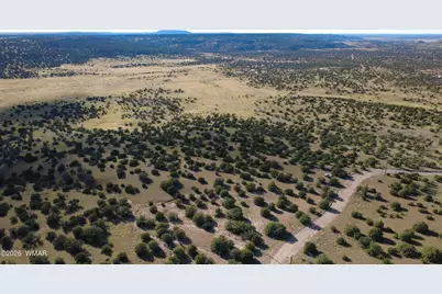 Tbd Lakeview Ranch, Concho, AZ 85924 - Photo 3