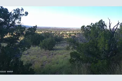 Tbd Lakeview Ranch, Concho, AZ 85924 - Photo 29