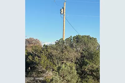 35589 US 60, Vernon, AZ 85940 - Photo 3