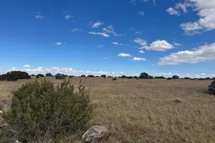 110 Hickory Ln, Concho, AZ 85924 - Photo 1