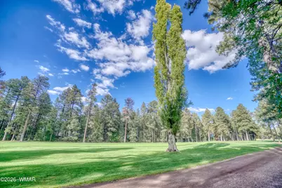 7060 Country Club Drive, Pinetop, AZ 85935 - Photo 5