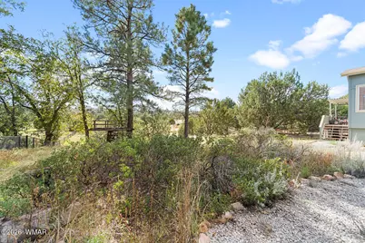 733 Club Straight Lane, Show Low, AZ 85901 - Photo 65