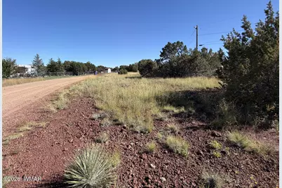 8701 Campbell Circle, Show Low, AZ 85901 - Photo 1