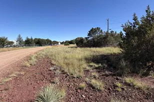 8701 Campbell Cir, Show Low, AZ 85901 - Photo 1