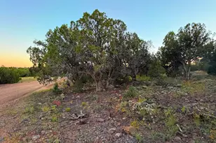 8332 Skyline Dr, Show Low, AZ 85901 - Photo 1