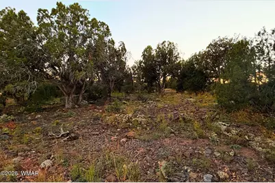8332 Skyline Drive, Show Low, AZ 85901 - Photo 5
