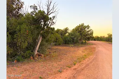 8332 Skyline Drive, Show Low, AZ 85901 - Photo 7