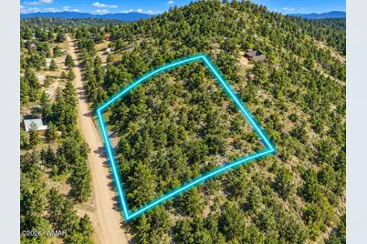 1904 Green Valley Road, Heber, AZ 85928 - Photo 9