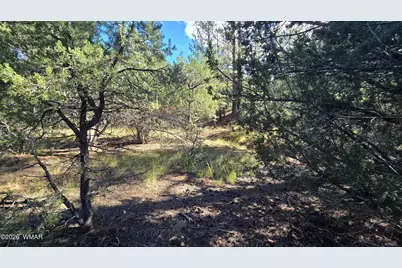 1545 Rocky Top Drive, Heber, AZ 85928 - Photo 9