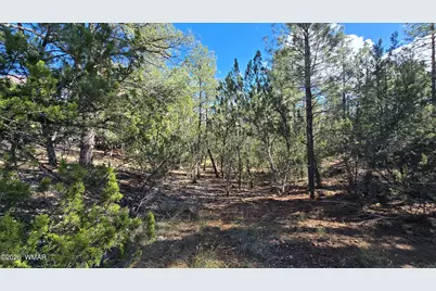 1545 Rocky Top Drive, Heber, AZ 85928 - Photo 3