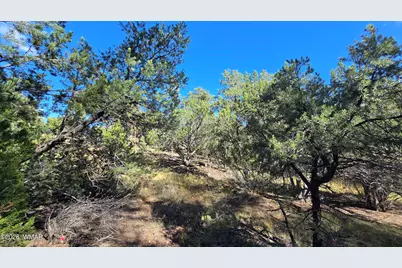 1545 Rocky Top Drive, Heber, AZ 85928 - Photo 5