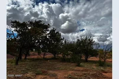 215 N Snowflake Heights Boulevard, Snowflake, AZ 85937 - Photo 3