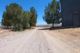 231 Castro Canyon Rd, Cuyama, CA 93254 - Photo 11