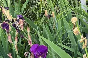 2675 Lembert St, Simi Valley, CA 93065 - Photo 33