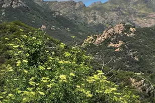 102 W Carlisle Rd, Thousand Oaks, CA 91361 - Photo 37