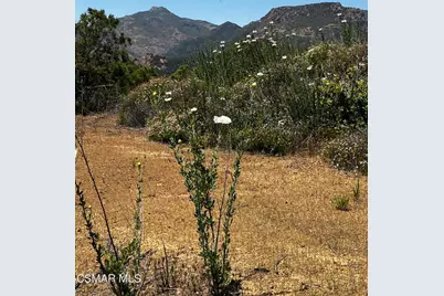 102 W Carlisle Road, Thousand Oaks, CA 91361 - Photo 35