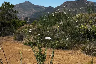 102 W Carlisle Rd, Thousand Oaks, CA 91361 - Photo 35