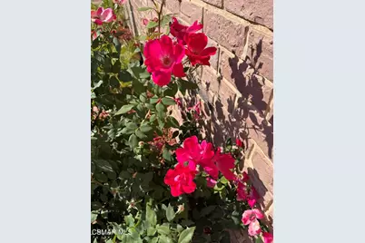 6480 Katherine Road #79, Simi Valley, CA 93063 - Photo 33