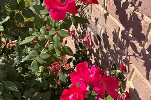 6480 Katherine Rd, Simi Valley, CA 93063 - Photo 33