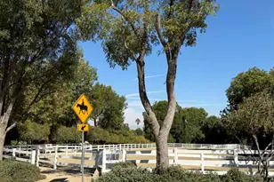 27024 Sunnyridge Rd, Palos Verdes Peninsula, CA 90274 - Photo 9