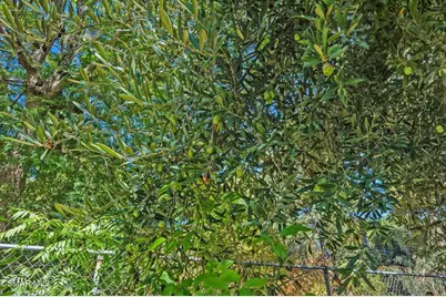 15877 Beaver Run Road, Canyon Country, CA 91387 - Photo 69