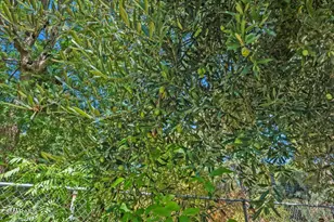 15877 Beaver Run Rd, Canyon Country, CA 91387 - Photo 69