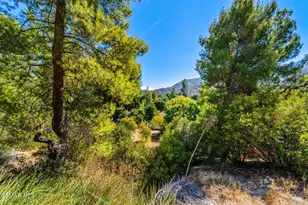 15877 Beaver Run Rd, Canyon Country, CA 91387 - Photo 63
