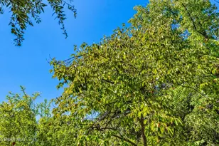 15877 Beaver Run Rd, Canyon Country, CA 91387 - Photo 61