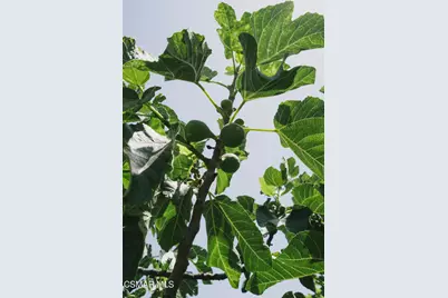 984 Harris Court, Thousand Oaks, CA 91362 - Photo 29