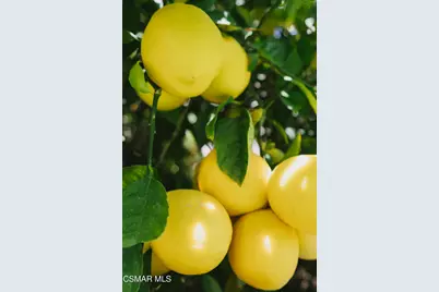 984 Harris Court, Thousand Oaks, CA 91362 - Photo 31