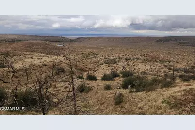  Off Big Pines Hwy. Road, Llano, CA 93544 - Photo 15