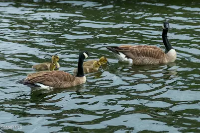 2374 Laguna Circle Road, Agoura Hills, CA 91301 - Photo 15