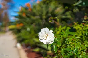 4524 Greengate Ct, Westlake Village, CA 91361 - Photo 7