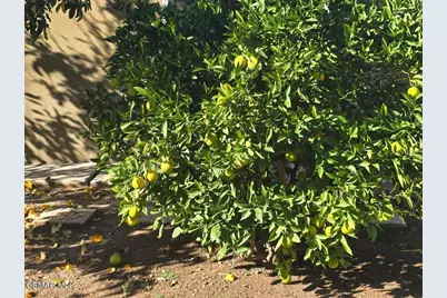 1404 Suffolk Avenue, Thousand Oaks, CA 91360 - Photo 25