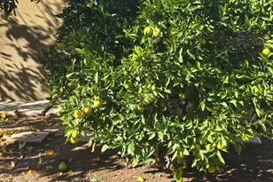 1404 Suffolk Ave, Thousand Oaks, CA 91360 - Photo 25