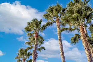 181 W Avenida De Las Flores, Thousand Oaks, CA 91360 - Photo 45