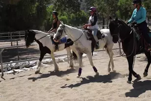 1756 Sunnydale Ave, Simi Valley, CA 93065 - Photo 75