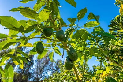 952 Carefree Drive, Simi Valley, CA 93065 - Photo 53