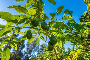 952 Carefree Dr, Simi Valley, CA 93065 - Photo 53