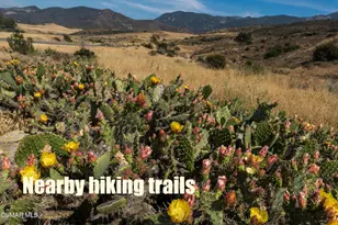 349 Newbury Vista Ln, Newbury Park, CA 91320 - Photo 49