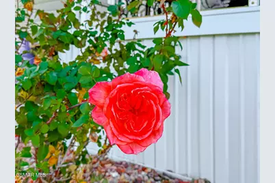 27361 Sierra Highway #266, Canyon Country, CA 91351 - Photo 7