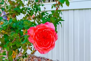 27361 Sierra Hwy, Canyon Country, CA 91351 - Photo 7