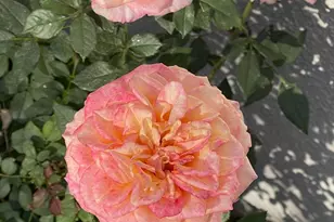 4881 Muirwood Ct, Simi Valley, CA 93063 - Photo 27